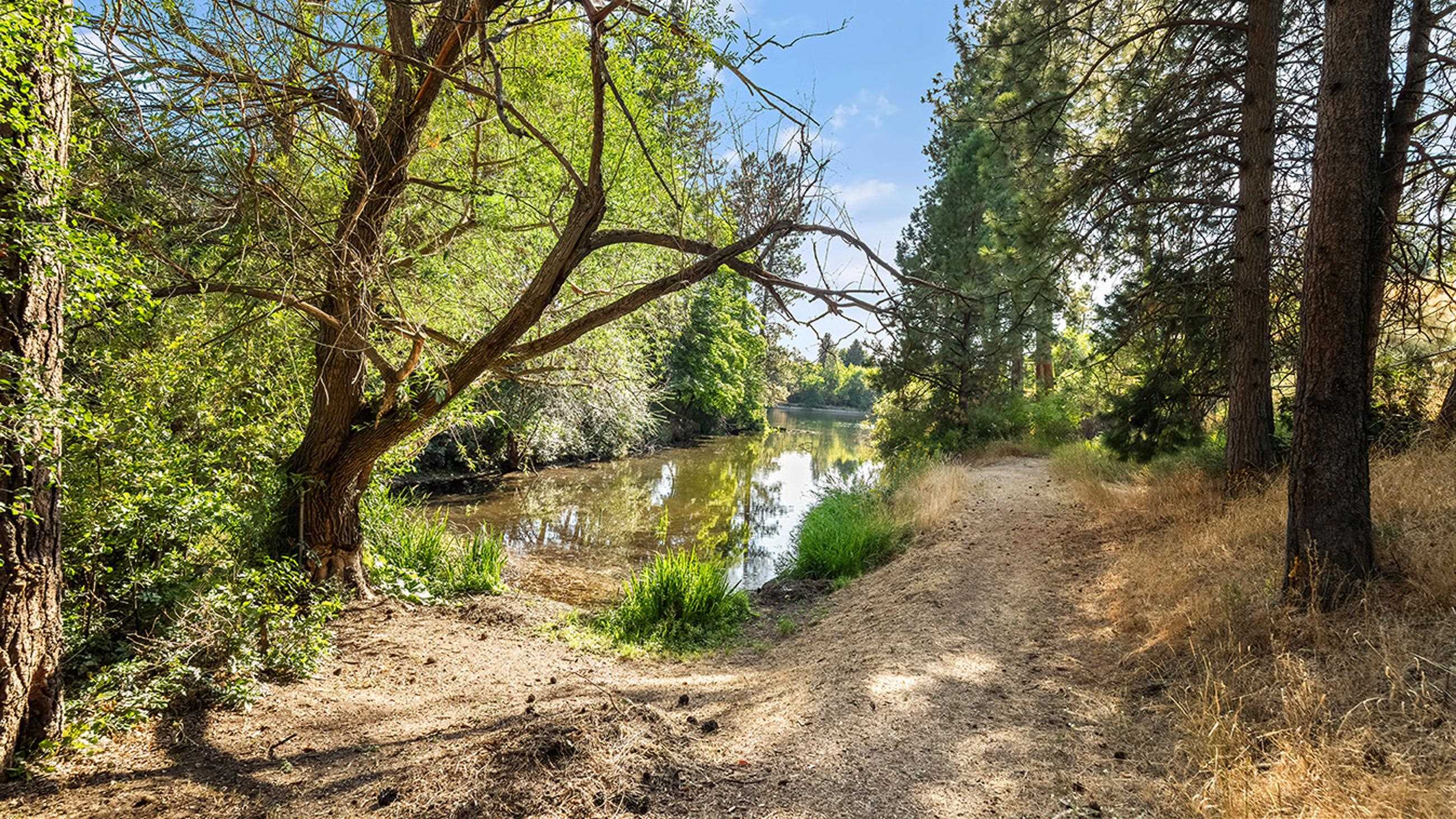 4303 Ella Road Spokane, WA 99212 - Photo 29 of 29