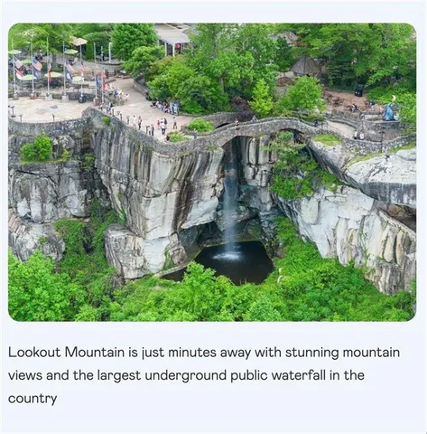 a black and white photo of a park