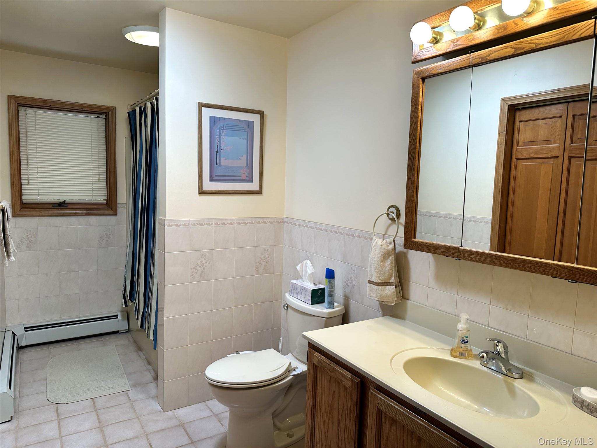 60 Manchester Road Rock Hill, NY 12775 - Photo 16 of 47 a bathroom with a sink toilet and mirror