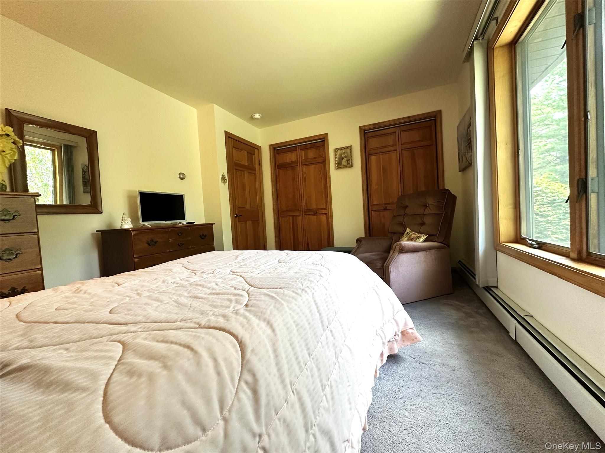 60 Manchester Road Rock Hill, NY 12775 - Photo 26 of 47 a bed room with a bed and a television