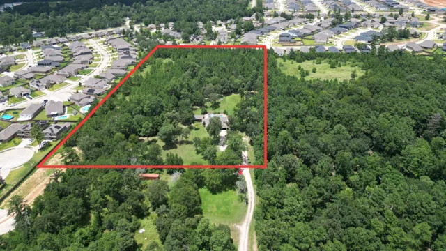 a backyard of a large tree