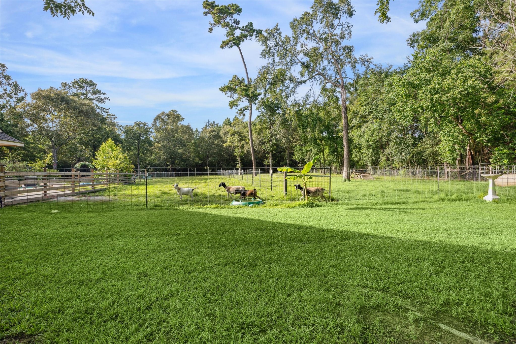 19215 Veterans Road Magnolia, TX 77355 - Photo 47 of 50 a view of a park