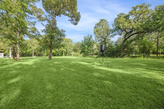 a view of a park with large trees