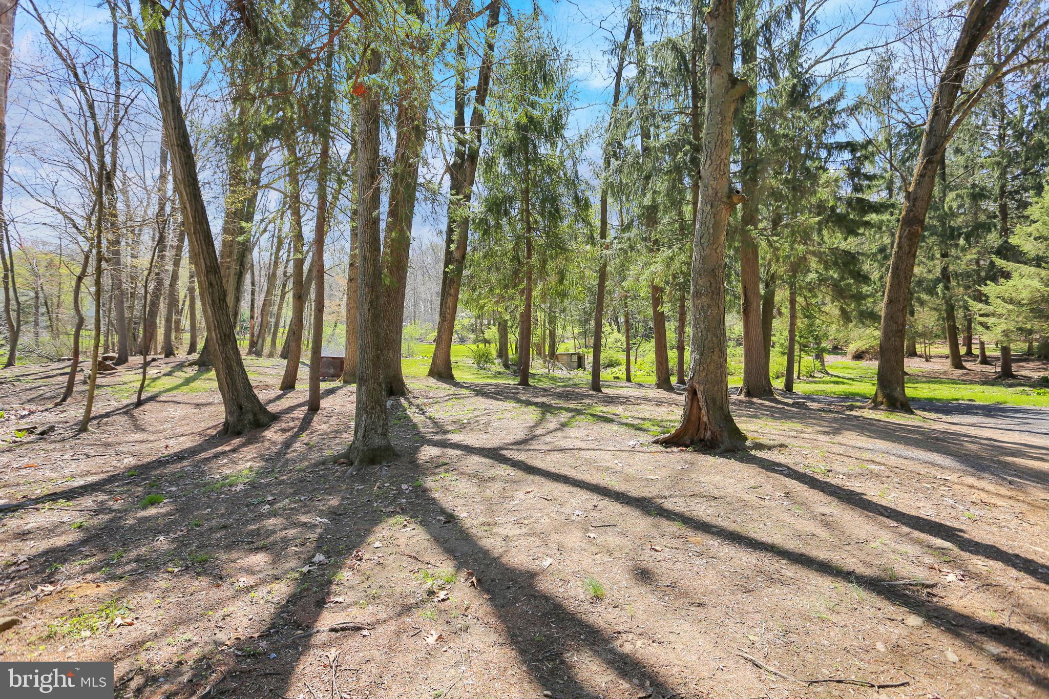 1096 Church Lane Road Reading, PA 19606 - Photo 4 of 20 Absolutely gorgeous lot!