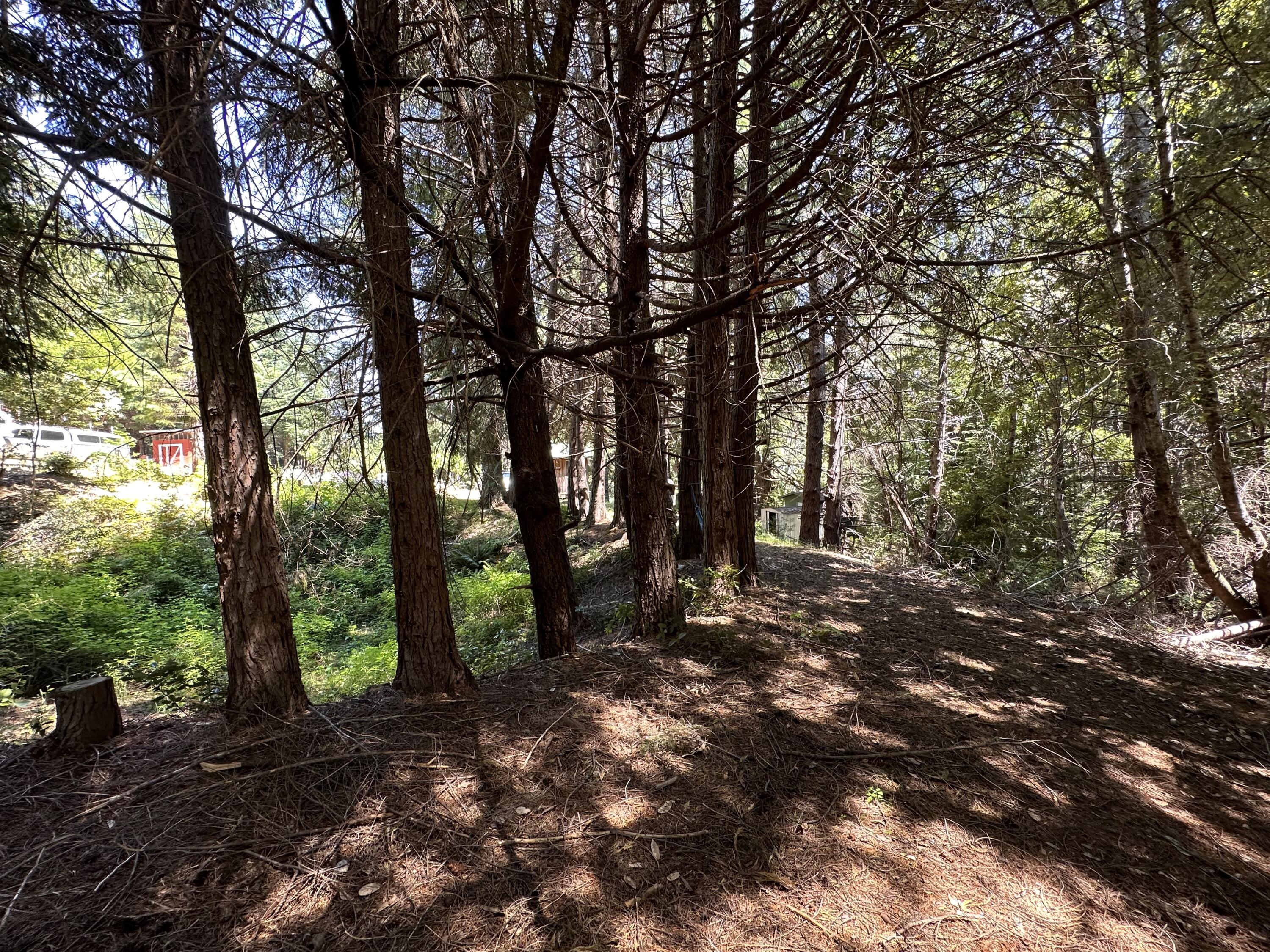 950 Powell Crk Road Garberville, CA 95542 - Photo 57 of 78