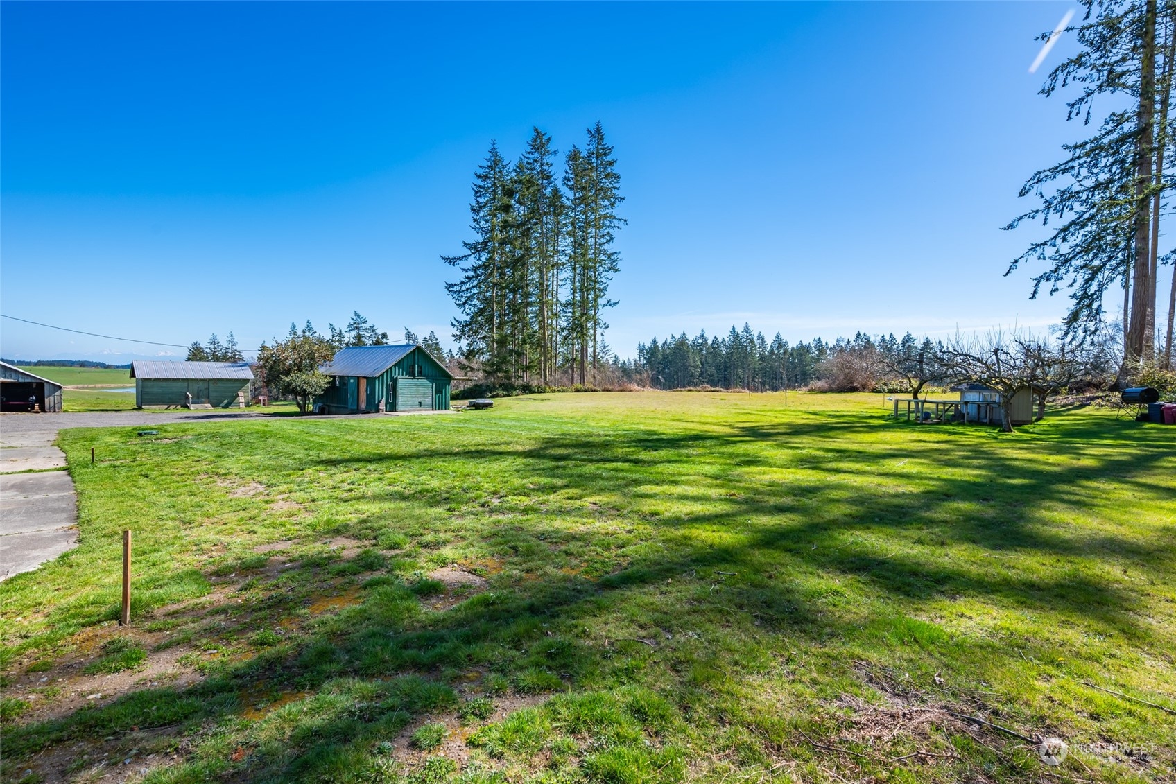 1932 Zylstra Road Oak Harbor, WA 98277 - Photo 29 of 40 a view of a grassy field with an trees