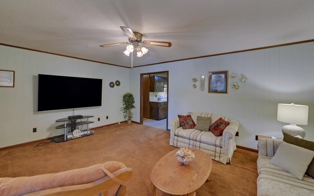 517 Paul Nicholson Road Blairsville, GA 30512 - Photo 4 of 31