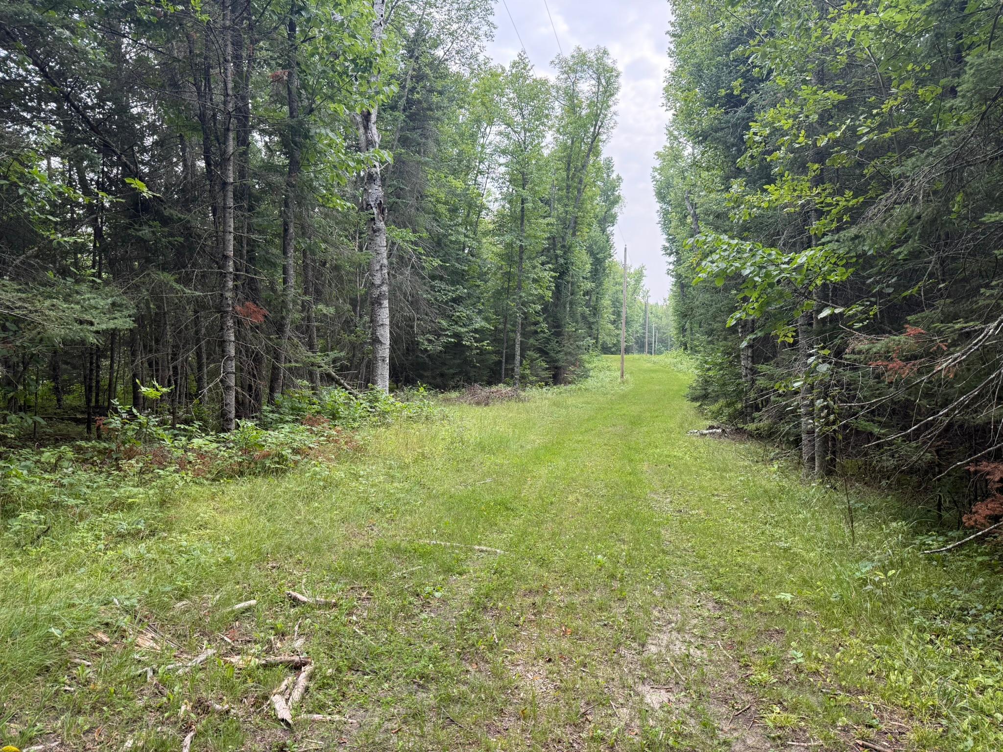 Tbd Cedar Point Road Marcell, MN 56657 - Photo 6 of 14