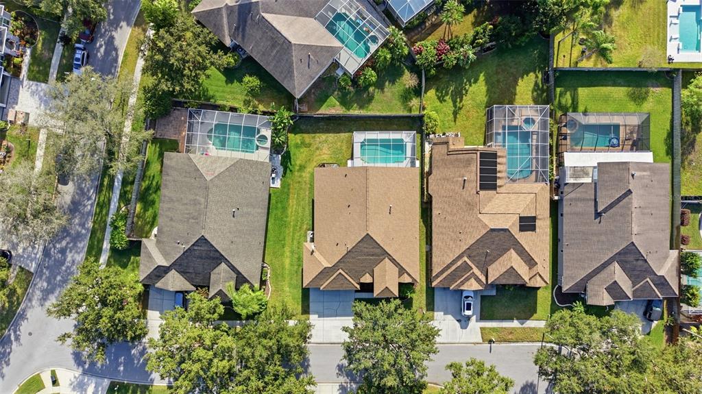 19607 Intrigue Way Lutz, FL 33558 - Photo 26 of 27