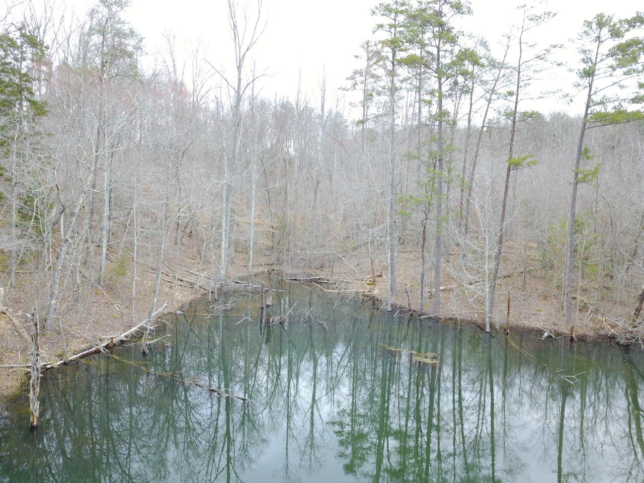 9999 Verne Road Williamsburg, KY 40769 - Photo 20 of 23 Photo 20