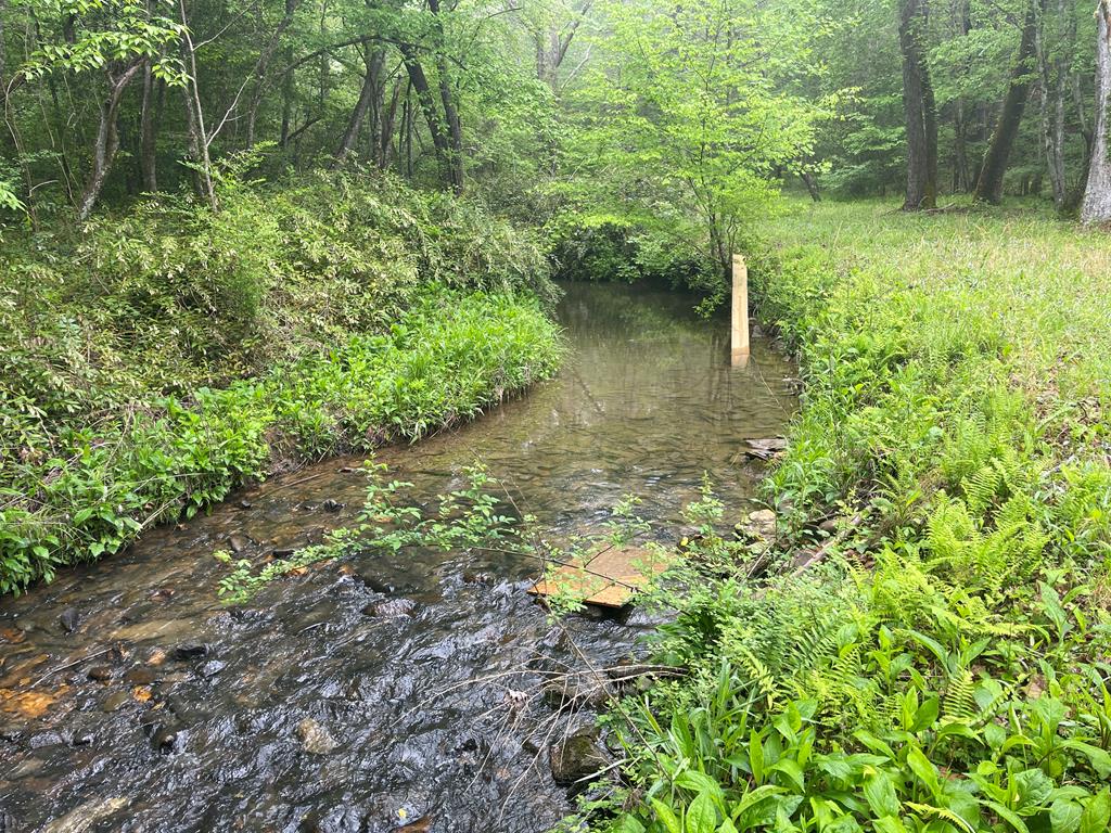 0 Old Johnson Road Murphy, NC 28906 - Photo 1 of 19 Main View