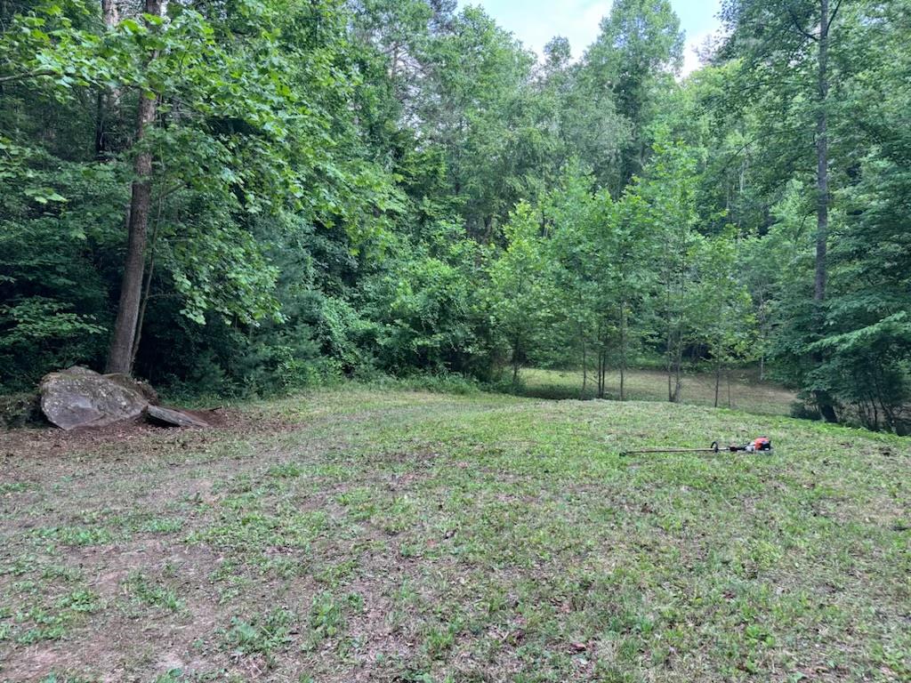0 Old Johnson Road Murphy, NC 28906 - Photo 15 of 19