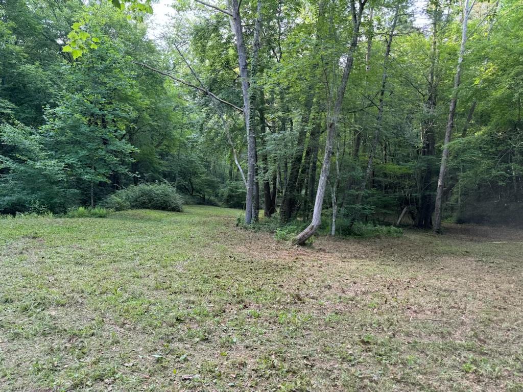 0 Old Johnson Road Murphy, NC 28906 - Photo 16 of 19