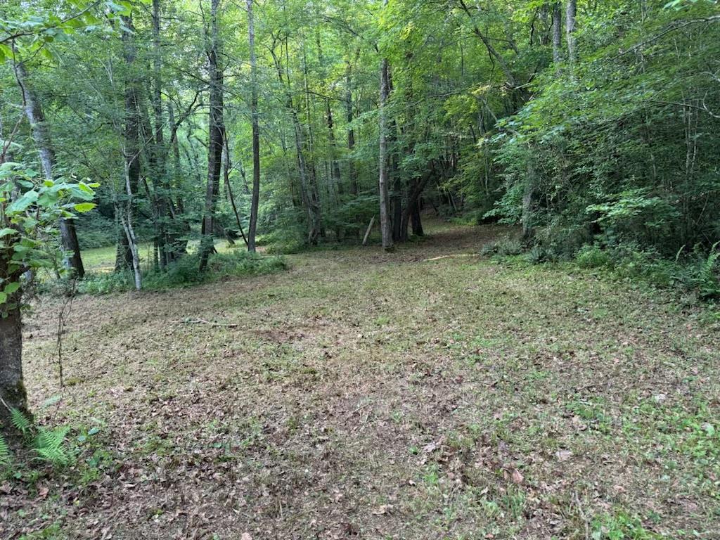 0 Old Johnson Road Murphy, NC 28906 - Photo 18 of 19