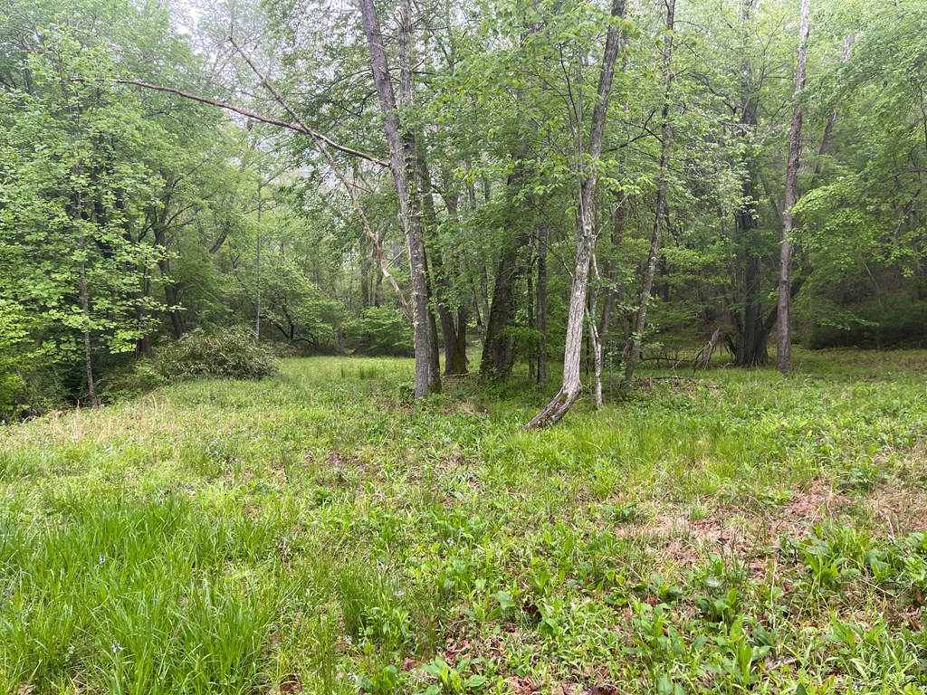 0 Old Johnson Road Murphy, NC 28906 - Photo 3 of 19