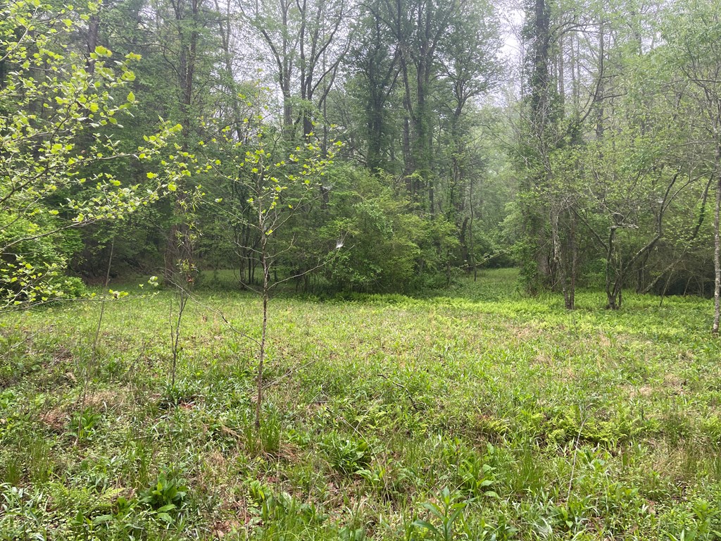 0 Old Johnson Road Murphy, NC 28906 - Photo 4 of 19