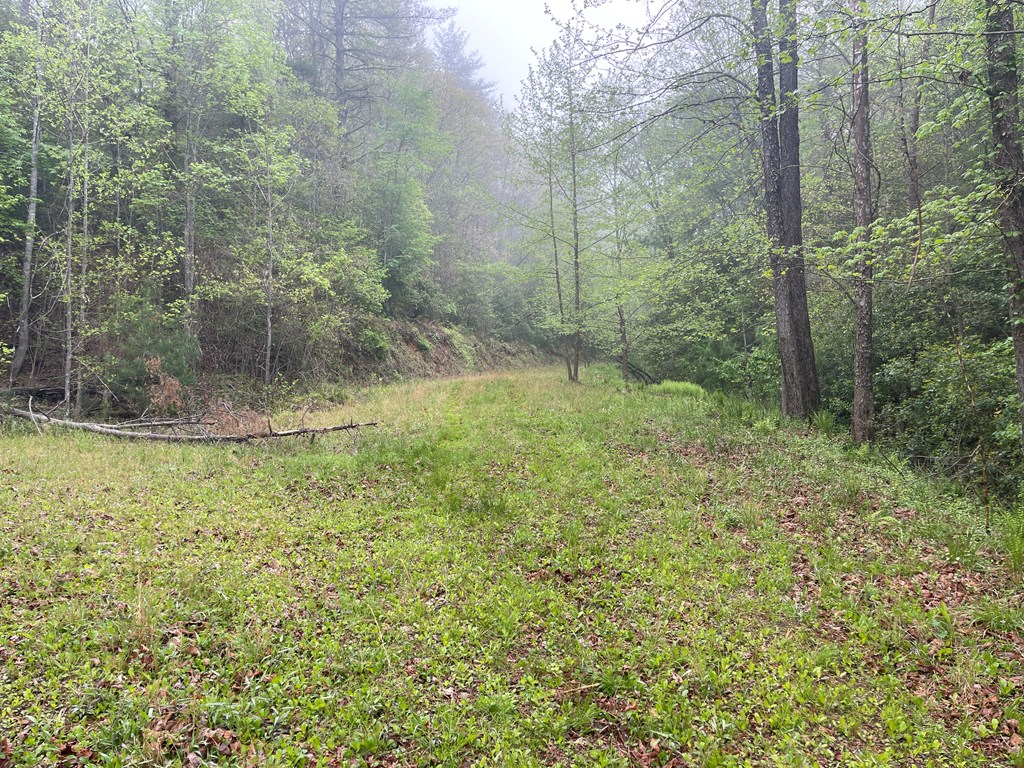 0 Old Johnson Road Murphy, NC 28906 - Photo 5 of 19
