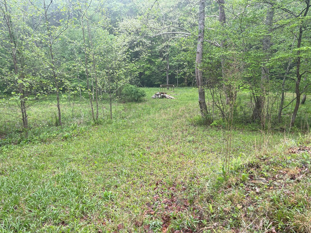 0 Old Johnson Road Murphy, NC 28906 - Photo 7 of 19