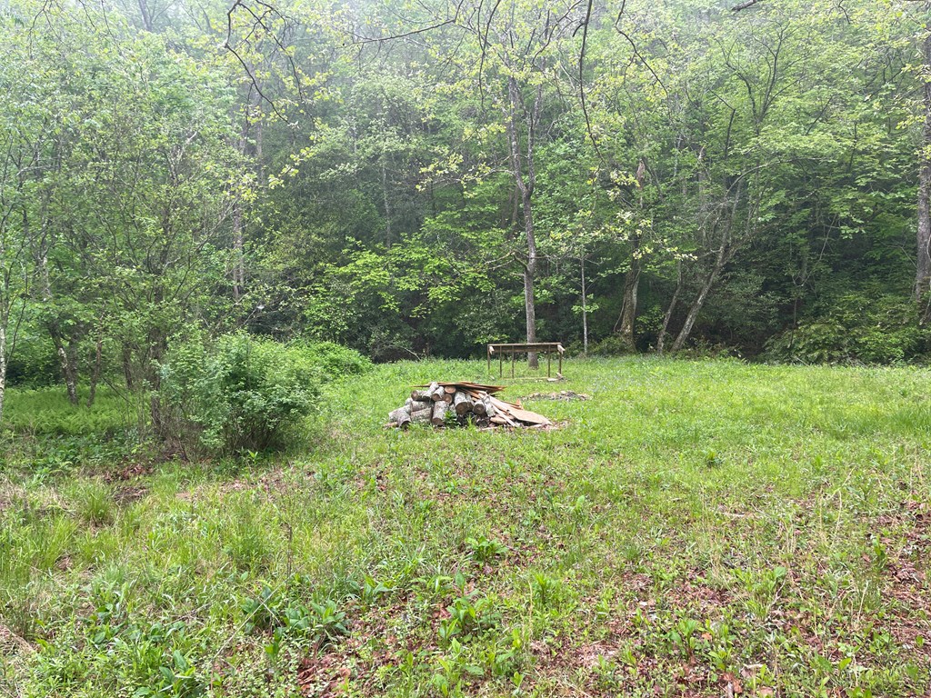 0 Old Johnson Road Murphy, NC 28906 - Photo 8 of 19
