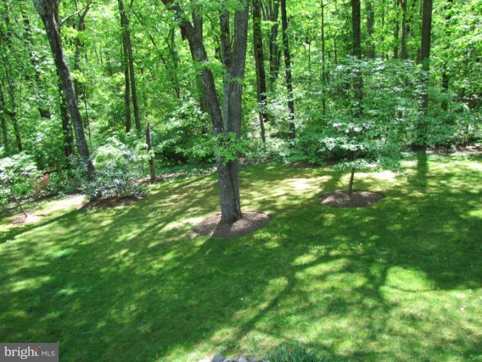 12101 Stirrup Road Reston, VA 20191 - Photo 1 of 19 Exterior (Rear)
