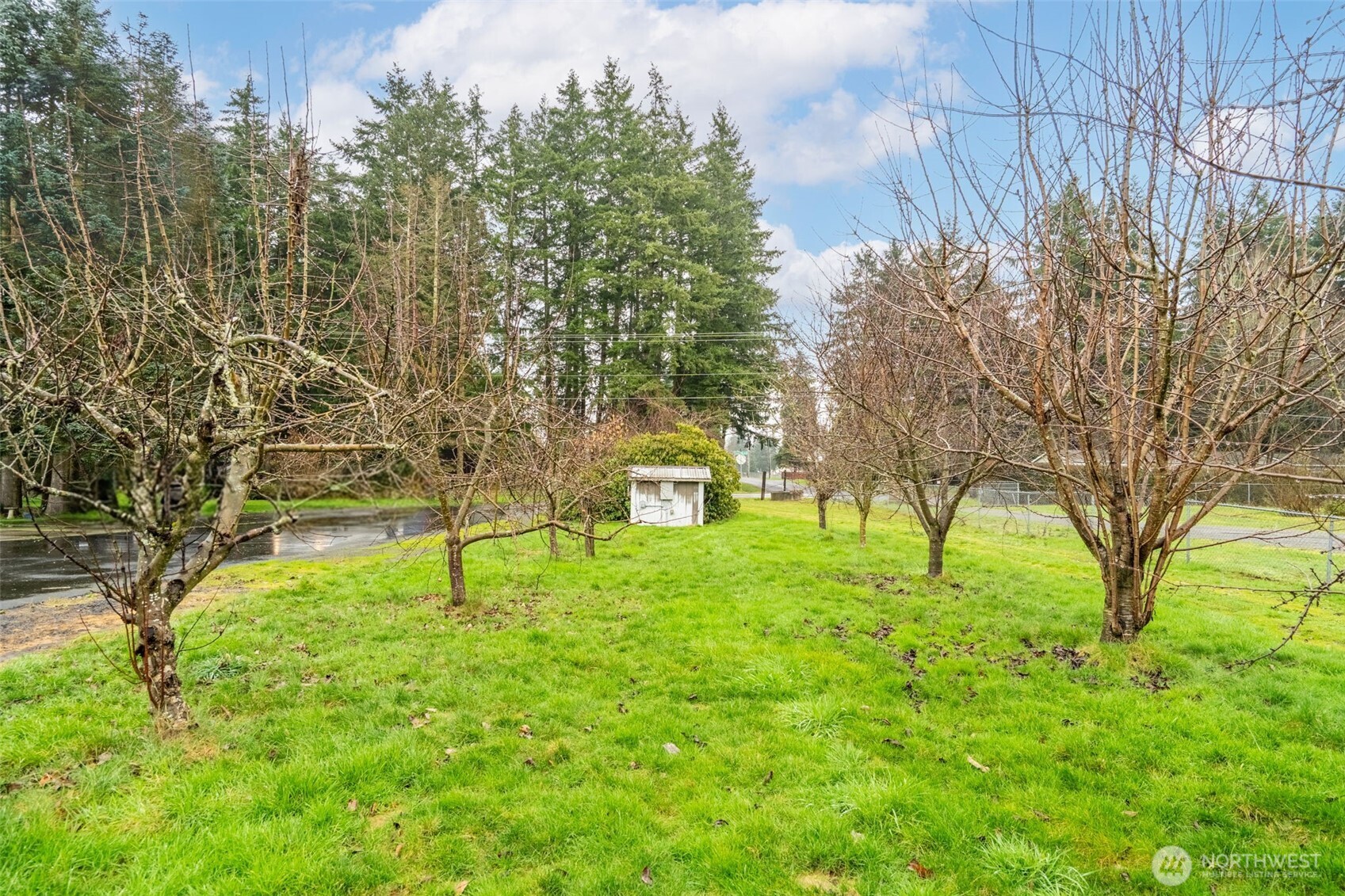 18647 Joselyn Road Southwest Rochester, WA 98579 - Photo 7 of 40