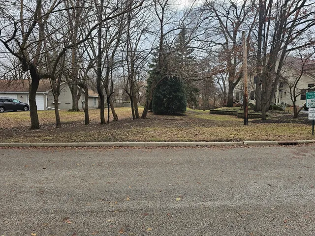 a view of dirt yard with a large tree