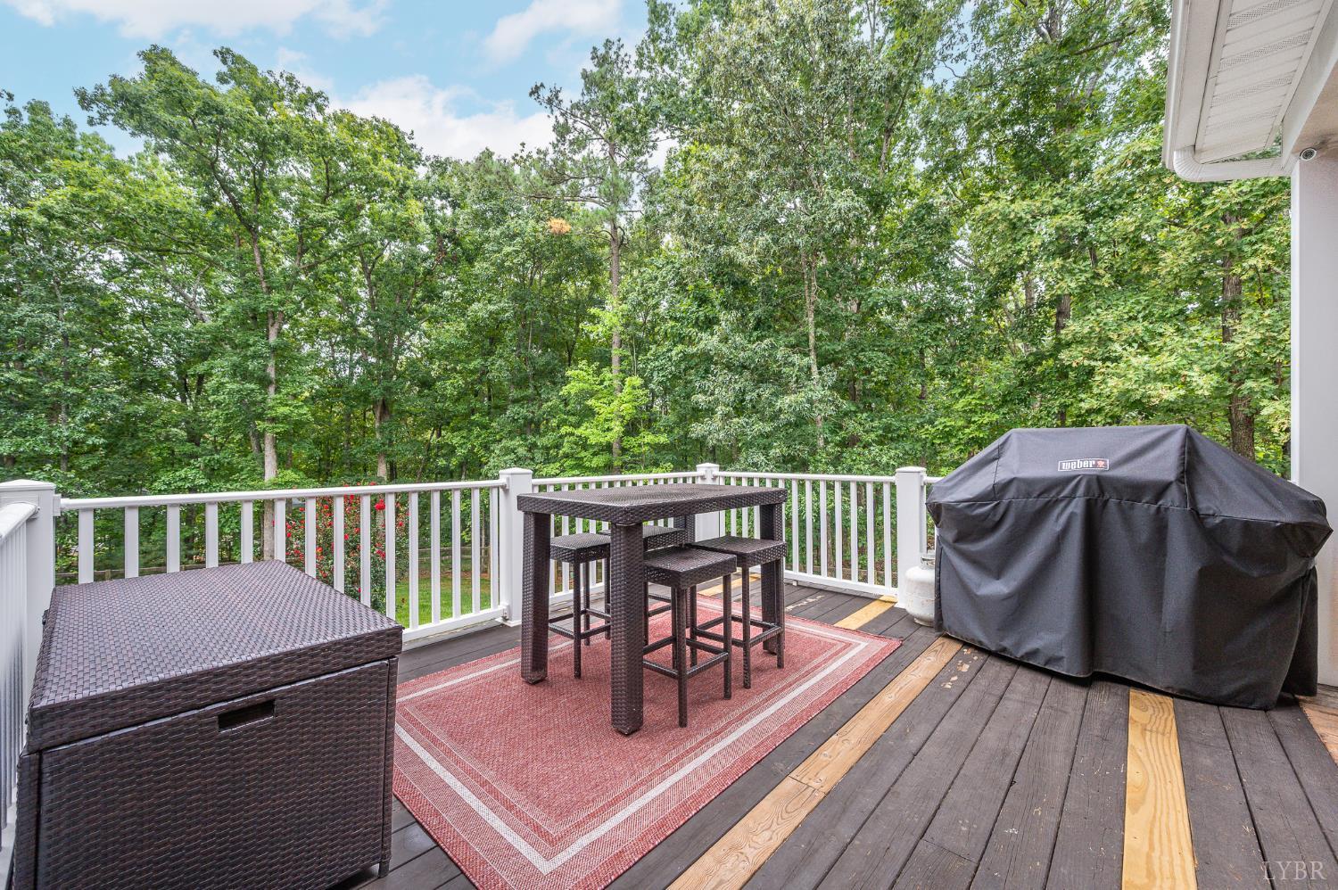 2842 Chilton Road Appomattox, VA 24522 - Photo 54 of 69 Gallery Image 54
