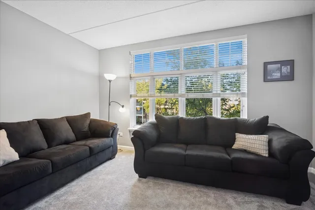 $349,000 | 425 Village Green South, Unit 314, Lincolnshire, IL 60069