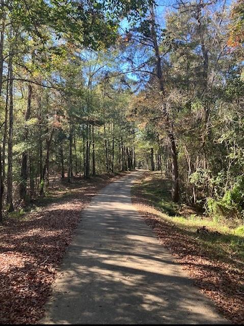 24260 Nick Jenkins Road Bush, LA 70431 - Photo 5 of 30