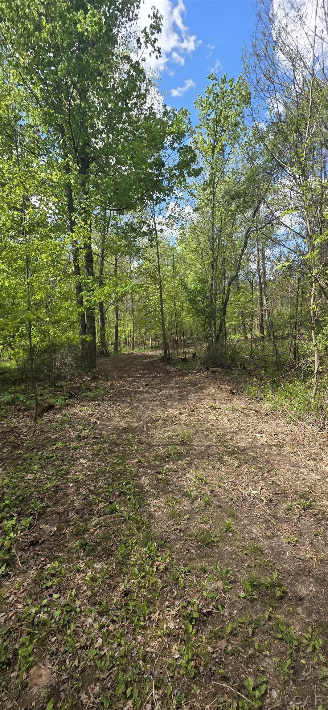 15252 27 Mile Road Albion, MI 49224 - Photo 21 of 57