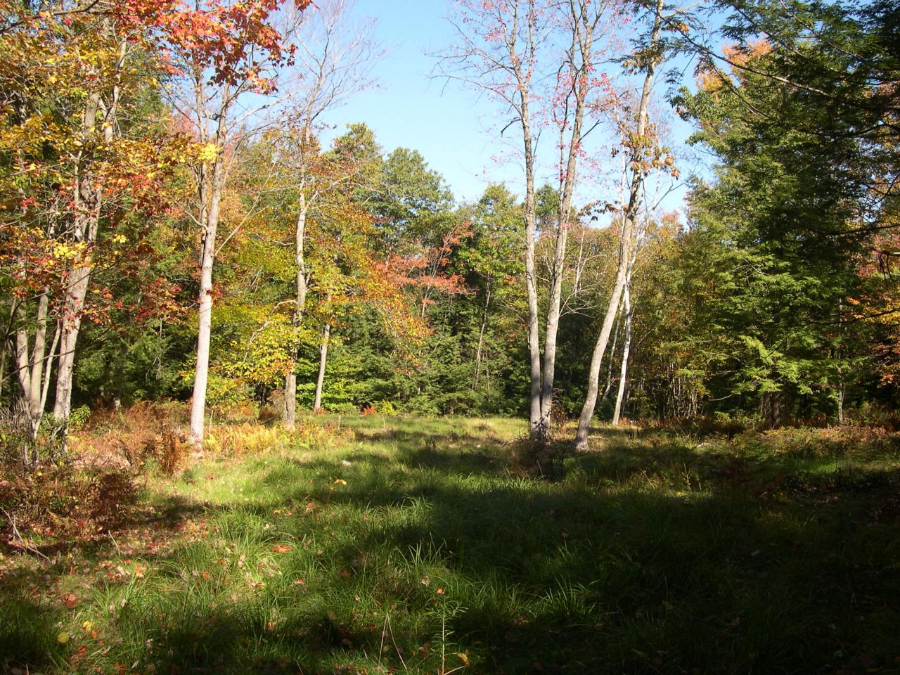 Lot #4 Algerie Road Otis, MA 01253 - Photo 1 of 9 Lot #4