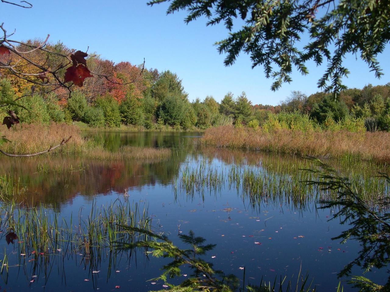 Lot #4 Algerie Road Otis, MA 01253 - Photo 2 of 9 Hidden Pond