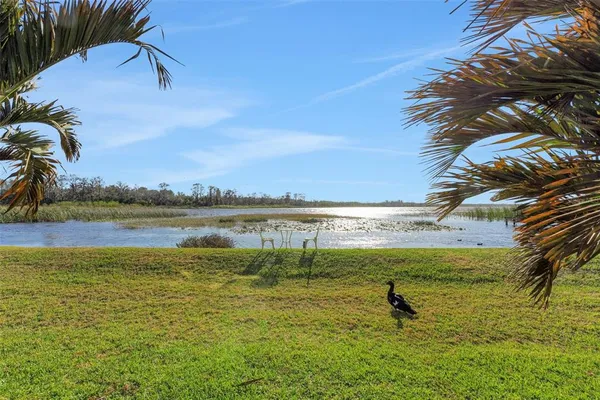 a view of a lake view