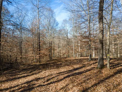 $300,000 | 0 Highway 49, Ashland City, TN 37015