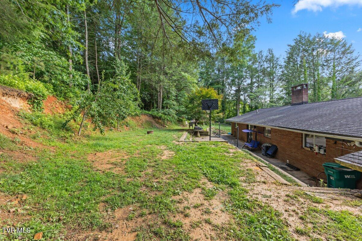 720 Holly Avenue Erwin, TN 37650 - Photo 18 of 26 128A6578 (1)