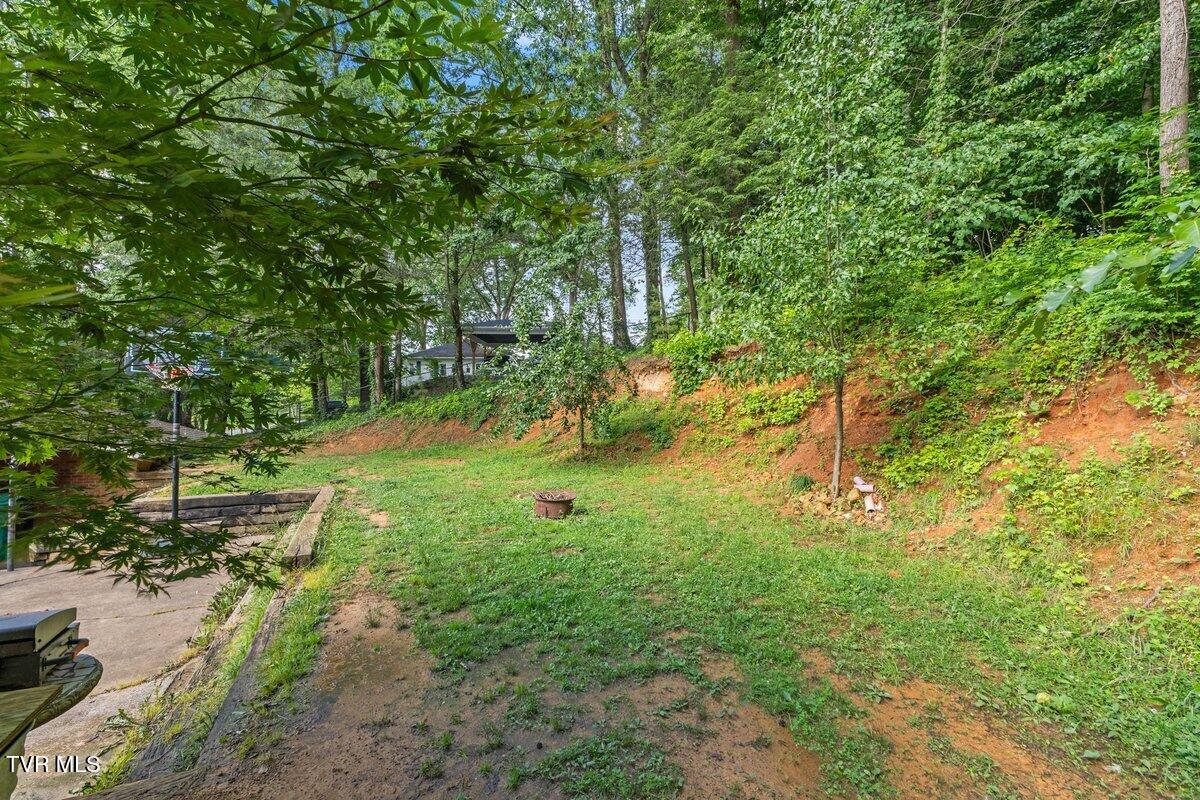 720 Holly Avenue Erwin, TN 37650 - Photo 19 of 26 128A6575 (1)