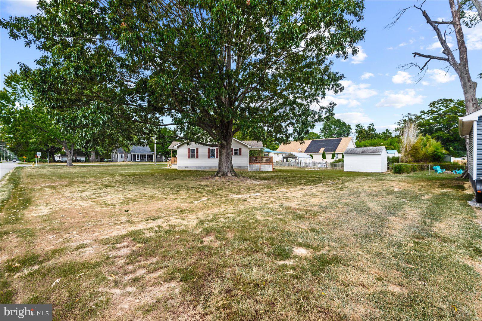 121 1st Street Colonial Beach, VA 22443 - Photo 31 of 46 a view of a swimming pool with a lawn chairs and a large tree