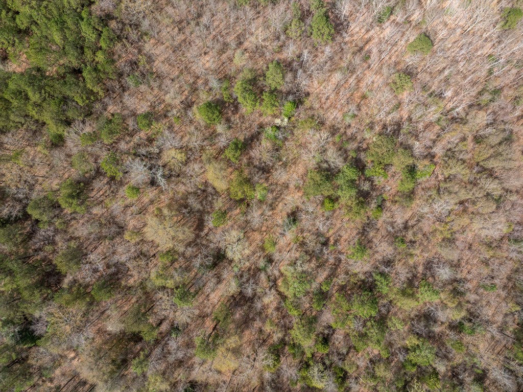 2 Co Road Pachuta, MS 39347 - Photo 2 of 4 Photo 2