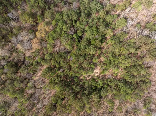 $64,900 | 2 Co Road, Pachuta, MS 39347