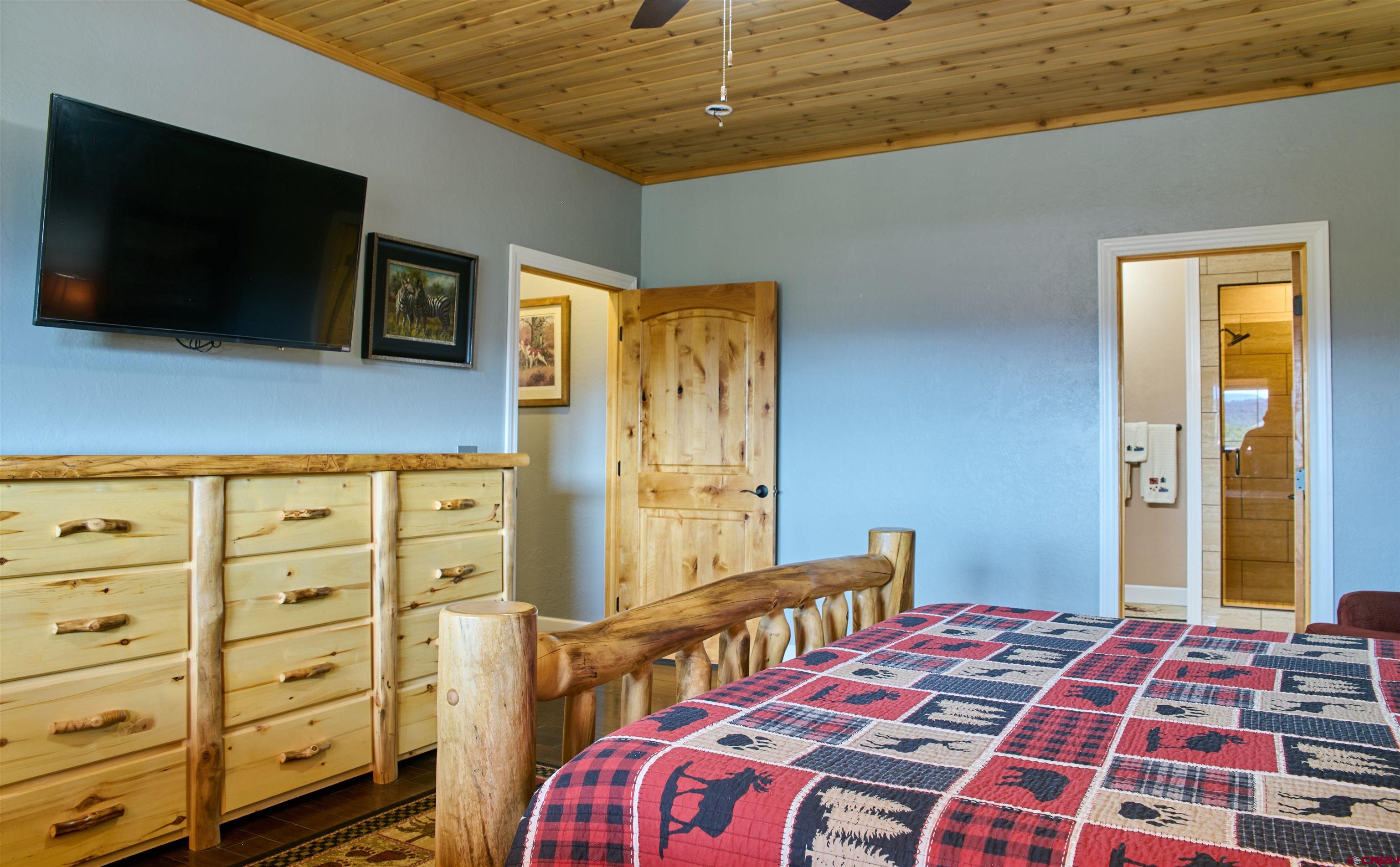 195 Kenosha Pass Road South Fork, CO 81154 - Photo 19 of 41