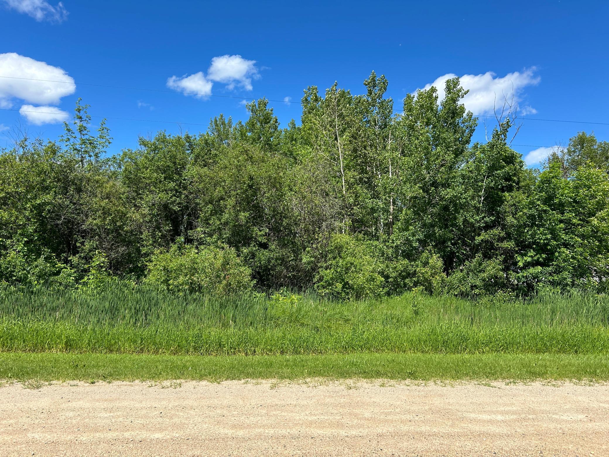 Tbd Graceton Beach Road Northwest Williams, MN 56686 - Photo 6 of 9