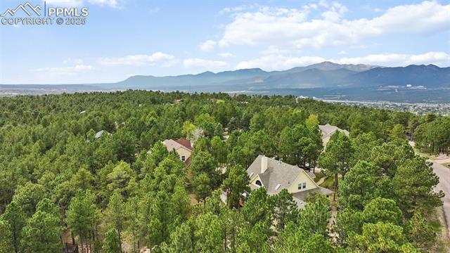 15595 Falcon Ridge Court Colorado Springs, CO 80921 - Photo 41 of 45 Gallery Image 41