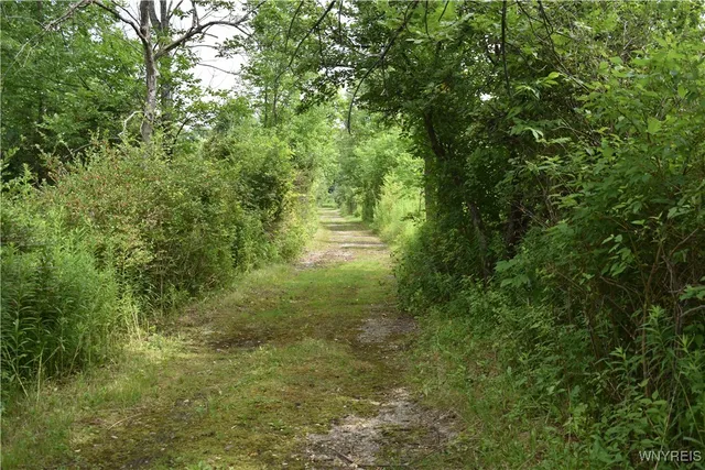 $35,900 | 10568 Highway 16, Yorkshire, NY 14042