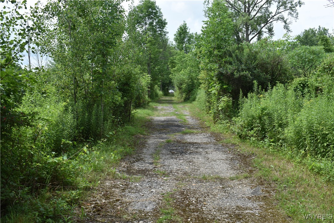 10568 Highway 16 Delevan, NY 14042 - Photo 12 of 19