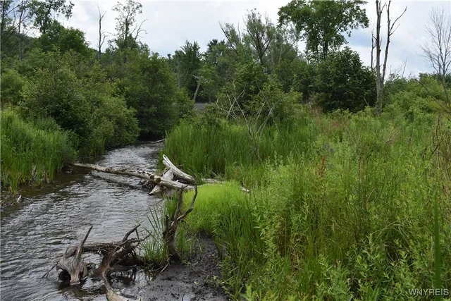 $35,900 | 10568 Highway 16, Yorkshire, NY 14042