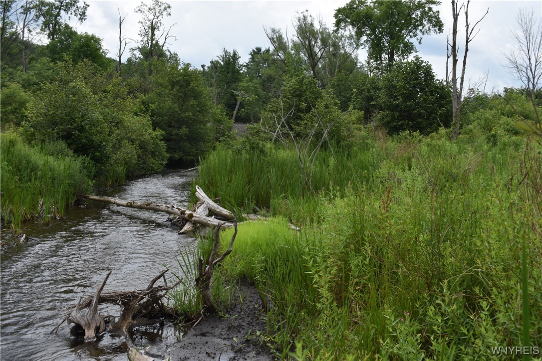 10568 Highway 16 Delevan, NY 14042 - Photo 13 of 19