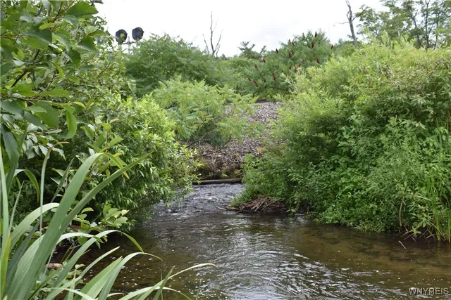 $35,900 | 10568 Highway 16, Yorkshire, NY 14042