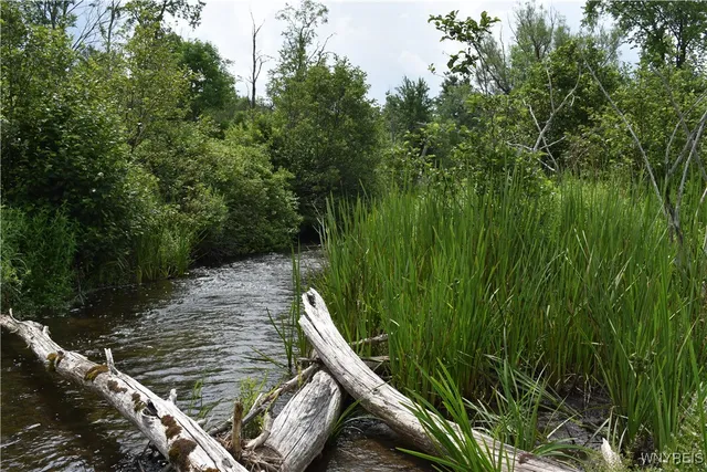 $35,900 | 10568 Highway 16, Yorkshire, NY 14042