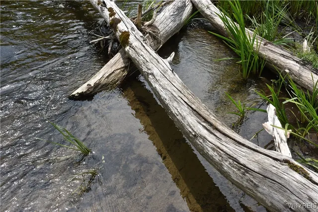 $35,900 | 10568 Highway 16, Yorkshire, NY 14042