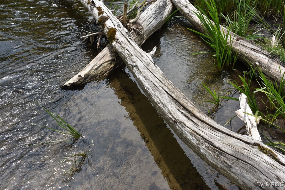 10568 Highway 16 Delevan, NY 14042 - Photo 16 of 19